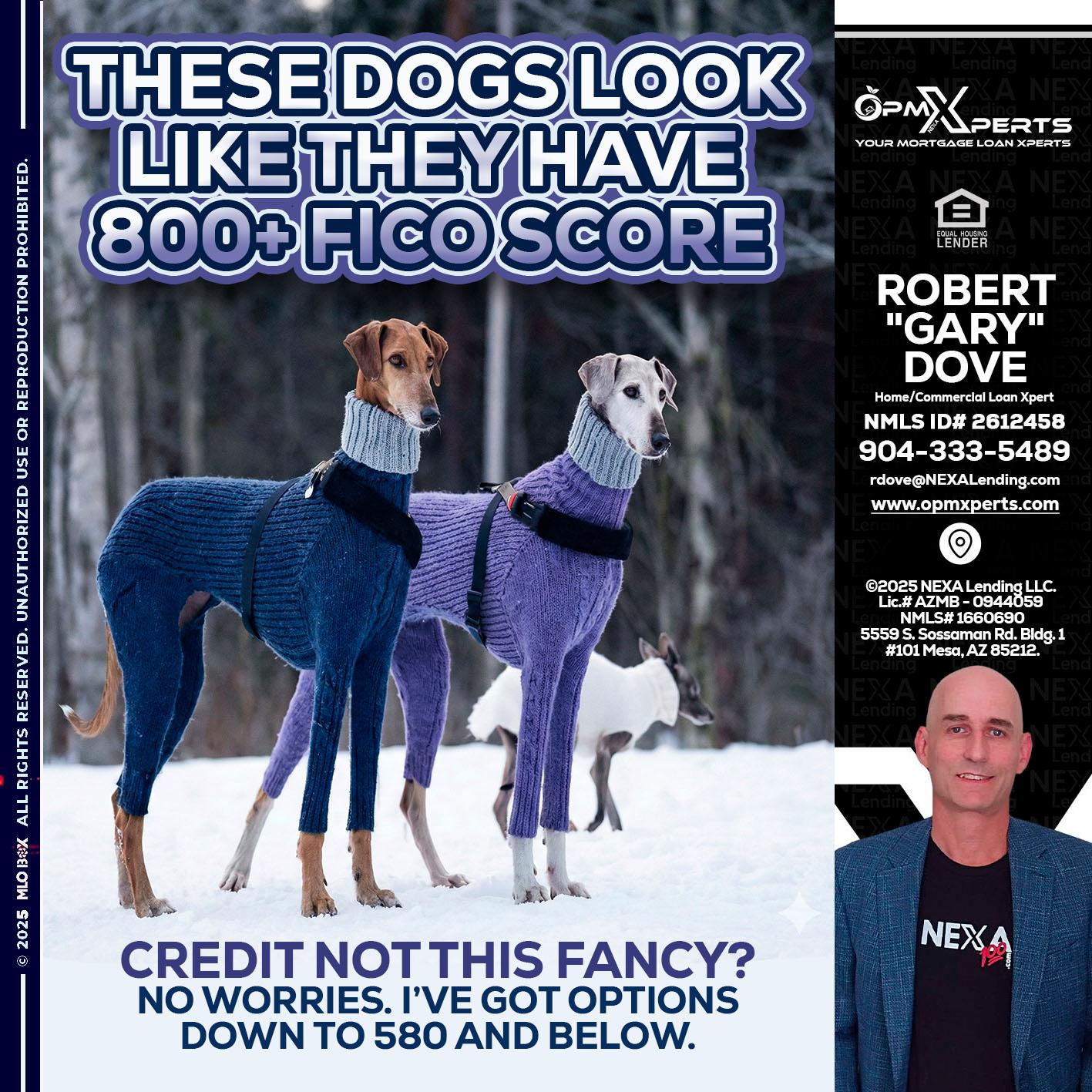 THESE DOGS LOOK - OpmXperts Your Mortgage Loan Xperts -